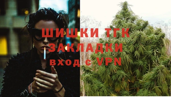 эйфоретик Дмитров
