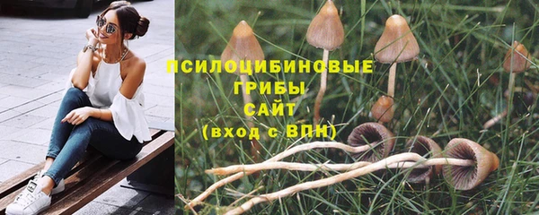 эйфоретик Дмитров