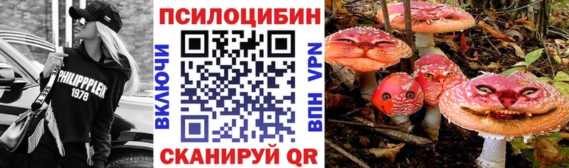 Галлюциногенные грибы мухоморы  Купить закладки  Звенигово 